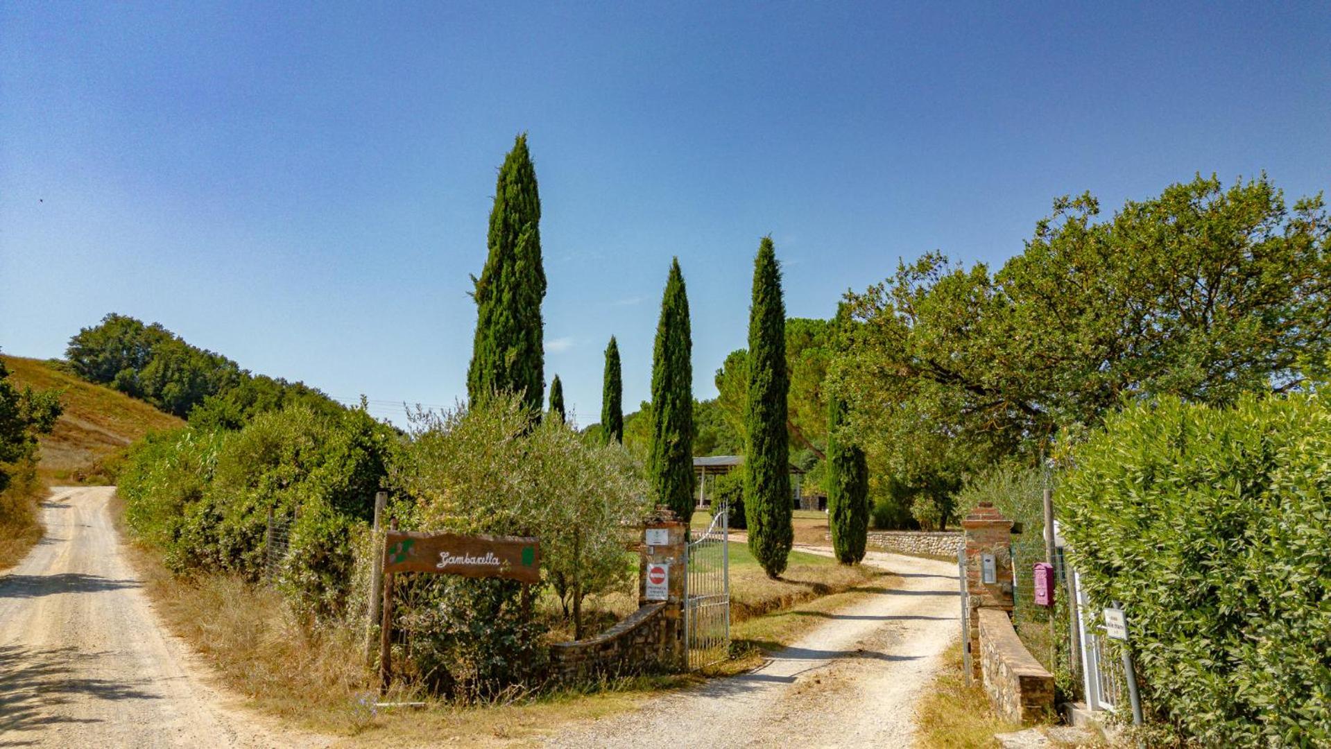 Ulivo-Chianti Charming Flat With Private Parking! Apartment Asciano Bagian luar foto